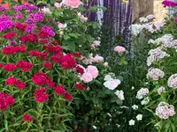Raduner Gartenbau AG