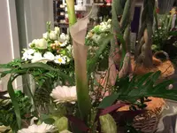 Blumen Locher