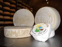 Caseificio del sole e Azienda Agricola Rigozzi