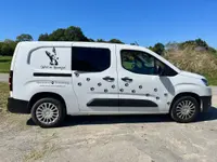 Wind im Hundefell