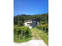 Weingut Sonnenberg – Cliquez pour agrandir l’image 1 dans une Lightbox