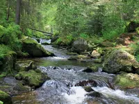 Oekologische Reinigungen