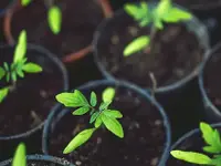 Mathisgarten GmbH