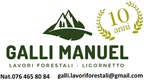 Galli Manuel