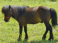 Brändlehof - Klicken Sie, um das Bild 3 in einer Lightbox vergrössert darzustellen