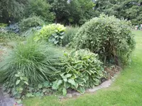Willener Urs Gartenbau AG