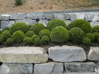 Mathis Gartenpflege und Gestaltung GmbH