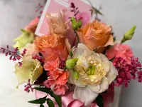 Blumen Kaspar AG