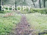 EM-Syntropy AG