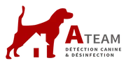 A-Team Désinfection-Logo