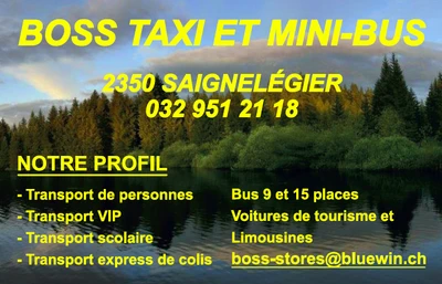 Boss taxi et mini-bus Sàrl