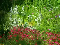 Geiser Gartenbau