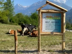 Azienda Agricola Rodoni Paolo