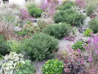 Signer Gartenpflege