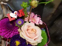 Fleurs Elémen'Terre Sàrl