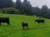 Viande des 2 Ruz Sàrl - Klicken Sie, um das Bild 3 in einer Lightbox vergrössert darzustellen