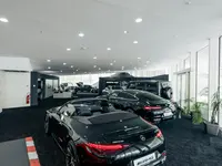Kestenholz Automobil AG