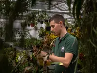 Orchidable di Andrea Martina