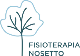 Fisioterapia Nosetto Bellinzona