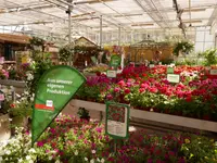 Blumen Eichenberger Oberrieden