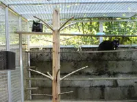 Hunde- & Katzenpension Röti
