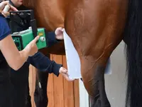 Equine Sports Medicine Services GmbH