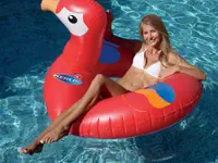 Piscines Widmer Sàrl