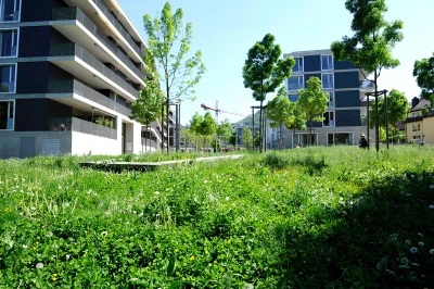 GGZ Gartenbau-Genossenschaft