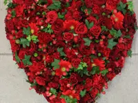 Blumen Ball GmbH