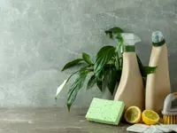 Ecofox Clean Home Services