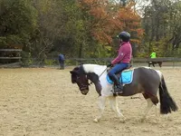 L.deRham Equitation - Klicken Sie, um das Bild 3 in einer Lightbox vergrössert darzustellen