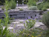 Thomas Uebelhart Naturgarten - Klicken Sie, um das Bild 14 in einer Lightbox vergrössert darzustellen