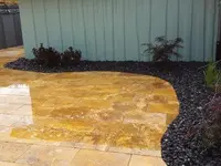 Plantflor