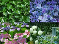 Bruderer Gartenbau AG