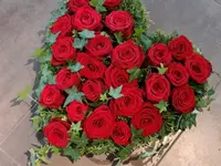 Blumen und Pflanzen