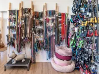 Hundeshop 4 Pfoten Andrea Huber