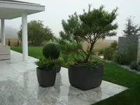 VITA VERDE AG