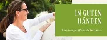 Kinesiologie AP