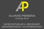 AP Rénovation, Alvaro Manuel Pereira Blanco