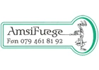 Amsi AG-Logo