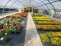 GIARDINI DOS SANTOS CANIÇO