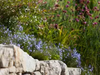 Mille et un Jardins Sàrl - Klicken Sie, um das Bild 10 in einer Lightbox vergrössert darzustellen