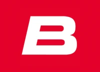 Buschini SA-Logo