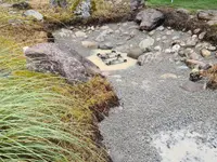 BRÜHWILER-GARTENBAU, BAUMPFLEGE