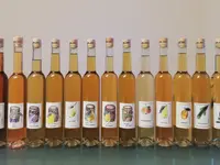 Schnaps Chäller Lieli