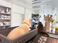 Katzen-Praxis.ch