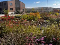 Pépinières Meylan SA