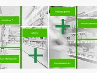 Farmacia Internazionale dr. Merloni SA