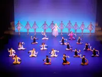 Verein TDC dance company & school