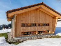 Hitz Holzbau AG